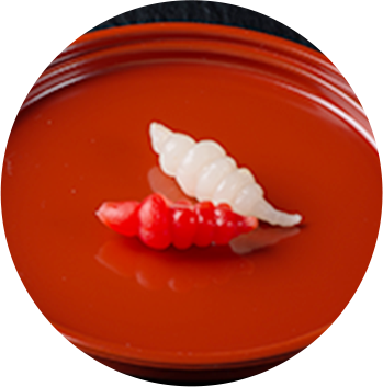 紅白千代呂木